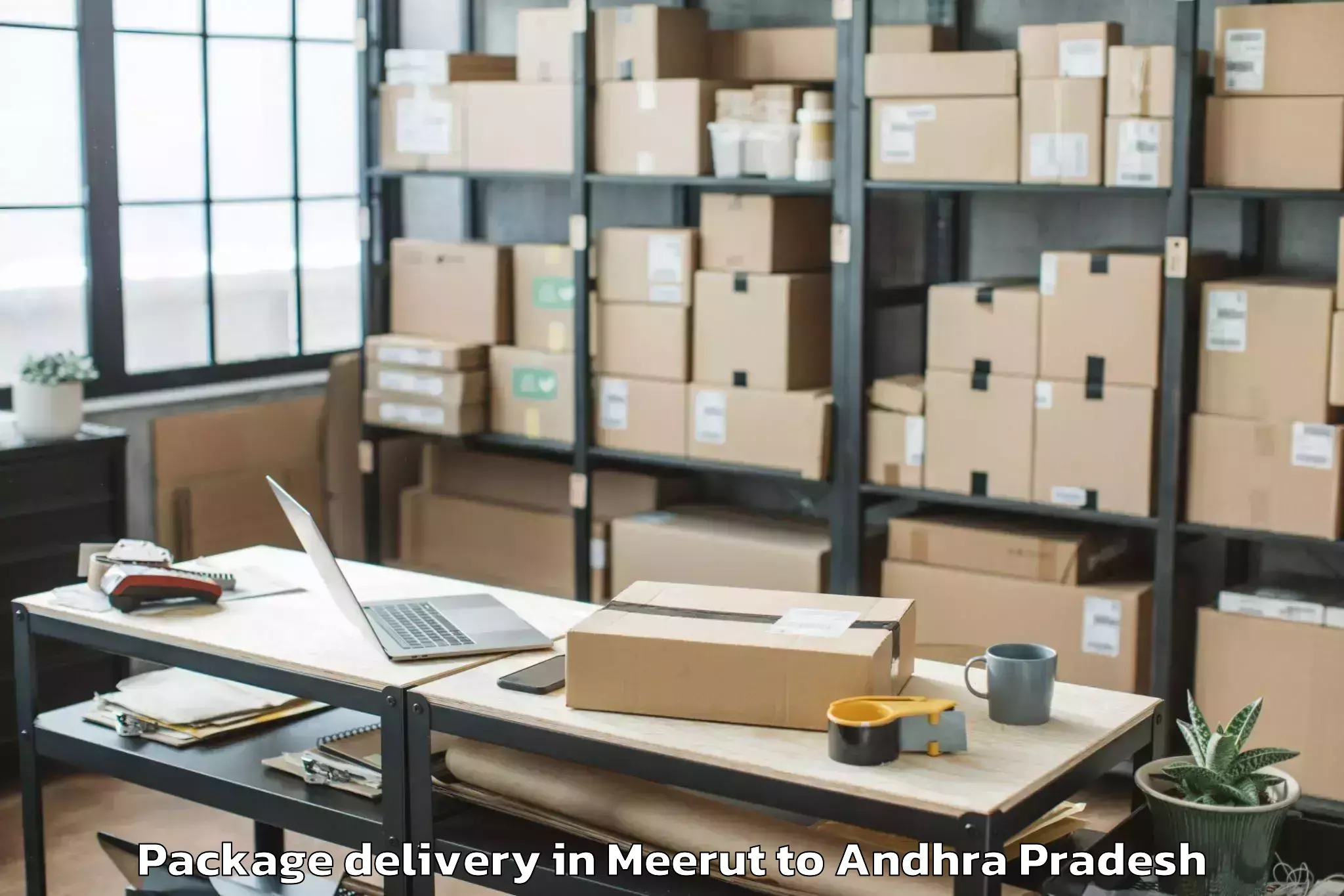 Affordable Meerut to Jarugumalli Package Delivery